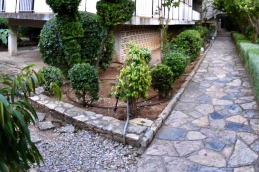 Modern Studio Next To The Sea! Porto Rafti Exterior photo