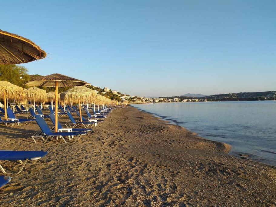 Modern Studio Next To The Sea! Porto Rafti Exterior photo