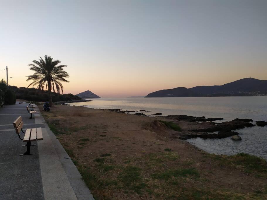 Modern Studio Next To The Sea! Porto Rafti Exterior photo